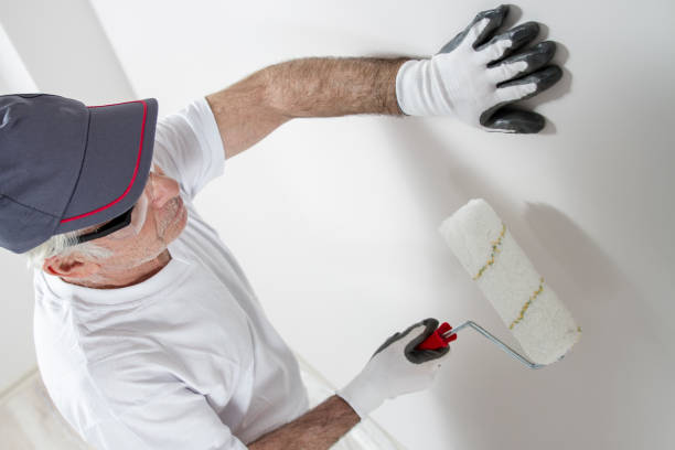 Reliable Grandville, MI Mold Removal Solutions