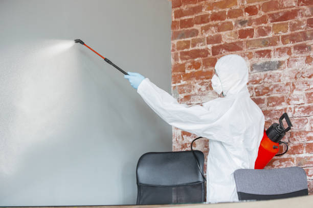 Best Mold Damage Restoration  in Grandville, MI