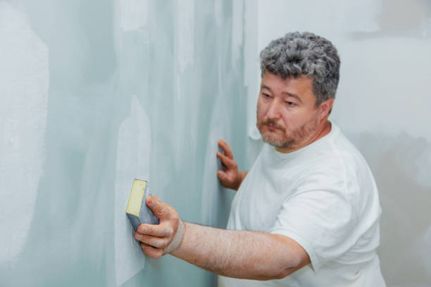 Best Attic Mold Removal  in Grandville, MI