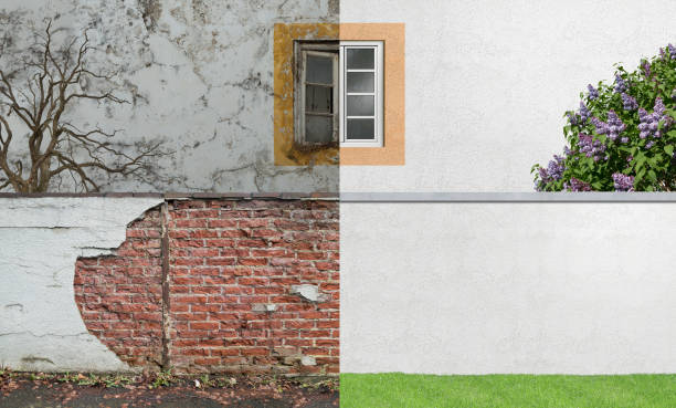 Best Mold Remediation for Healthcare Facilities  in Grandville, MI