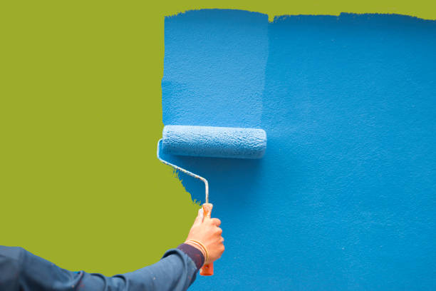 Best Black Mold Removal  in Grandville, MI